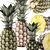 Tropical Pineapple Fruit Collection 3D model small image 4