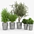 Modern Ring Planter Set 3D model small image 1