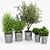 Modern Ring Planter Set 3D model small image 2