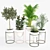 Elegant Stand Planter 3D model small image 3