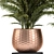 278 Plants Bundle: 3ds Max & Obj 3D model small image 2