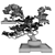 Elegant Bonsai Set for Stunning Decor 3D model small image 2