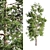 Scots Pine 1: Versatile Poly 3D model small image 2