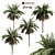 Tropical Palm Collection: PALM1-4 3D model small image 1