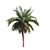 Tropical Palm Collection: PALM1-4 3D model small image 3