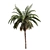 Tropical Palm Collection: PALM1-4 3D model small image 4