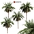 Tropical Palm Collection: PALM1-4 3D model small image 6