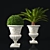 Antique Marble Urn: Boxwood & Cycas Palm 3D model small image 1