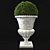 Antique Marble Urn: Boxwood & Cycas Palm 3D model small image 3