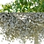 Elegant Elm Tree: Natural Beauty 3D model small image 2