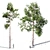 Russian Scots Pine 5-Tiered Polys 3D model small image 1