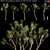 Yucca Gloriosa | Gloriosa or Soft-Tip Yucca, Spanish

Exquisite Yucca Gloriosa: 3D model small image 1