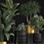 Tropical Indoor Plant Collection 3D model small image 4