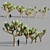  Joshua Tree Collection: 5 Varied Trees 3D model small image 1