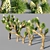  Joshua Tree Collection: 5 Varied Trees 3D model small image 2