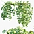 Monkey Mask Philodendron: Climbing Greenery 3D model small image 1