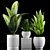 Exotic Plant Collection Set 3D model small image 2