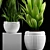 Exotic Plant Collection Set 3D model small image 3