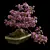 Miniature Sakura Bonsai 3D model small image 1