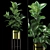 Ficus Elastica Plants: Stylish Pot & Digital Files 3D model small image 1