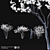 Star Magnolia | Flowering Magnolia Tree 3D model small image 1