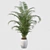 Tropical Bliss: Areca Palm Collection 3D model small image 2