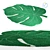 Monstera Carpet: Soft & Stylish 3D model small image 2