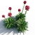 Coastal Beauty: Gymea Lily 3D model small image 3