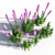 Colorful Liatris Spicata Variations 3D model small image 4