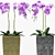 Floral 3D Orchids Set 3D model small image 2