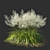 Ethereal White Muhly Grass 3D model small image 2