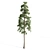 Tall Pines Collection: 4 Stunning Trees 3D model small image 3