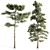 Tall Pines Collection: 4 Stunning Trees 3D model small image 4