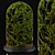 Miniature Jungle Oasis: Terrarium Bulb 3D model small image 1