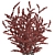 Natural Red Berry Branch Bouquet 3D model small image 2