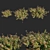 Abelia x Grandiflora OP3: Stunning Floral 3D Model 3D model small image 2