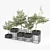 Elegant Olea Plant Stand: Polys: 1 276 906 3D model small image 3