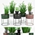 Round Plant Box: Versatile & Beautiful 3D model small image 1