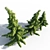 Nootka Cypress: Polys 1,422,929 3D model small image 3