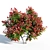 Colorful Photinia: Petite Shrub 3D model small image 3