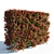 Vibrant Photinia Fraseri Hedge 3D model small image 1