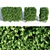 Lush Green Hornbeam Hedge 3D model small image 2