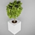 Modern Indoor Tree: Height 700mm 3D model small image 2
