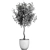 Tropical Ficus Benjamina in White Pot 3D model small image 5