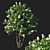 Elegant Syringa Vulgaris Tree: Stunning 3D Model 3D model small image 1