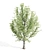 Polyglamorous Tree Trio 3D model small image 4