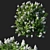 Luxury Syringa Vulgaris Bush 3D model small image 1