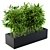 Lush Green Bamboo Set02 3D model small image 1