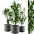 Stylish Indoor Plant Set 3D model small image 1