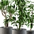 Stylish Indoor Plant Set 3D model small image 2